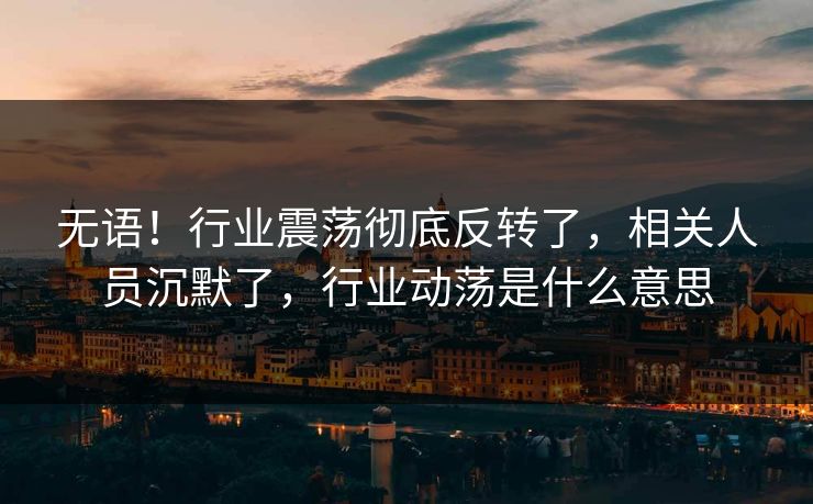 无语！行业震荡彻底反转了，相关人员沉默了，行业动荡是什么意思