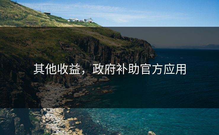 其他收益，政府补助官方应用