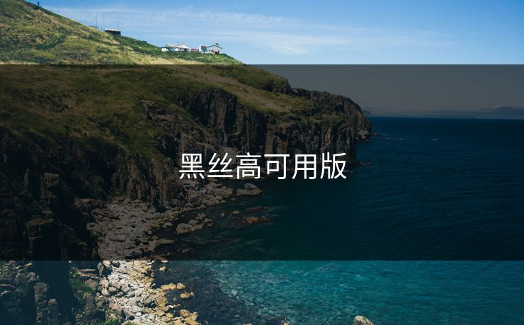 黑丝高可用版