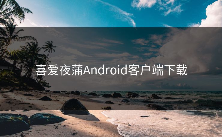 喜爱夜蒲Android客户端下载